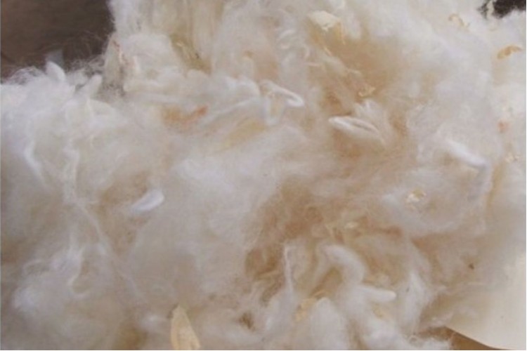 Topper in vello di lana Bio 10 cm