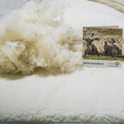 Copriguanciale in Lana Bio e Bioceramica coppia