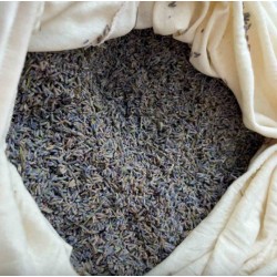Guanciale Lavanda e cotone Bio