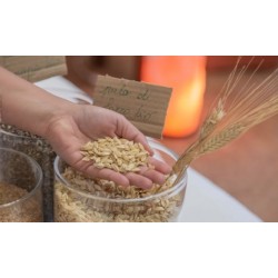 Guanciale in pula di Farro Biologico