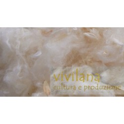 Topper Vivilana 1,5 cm
