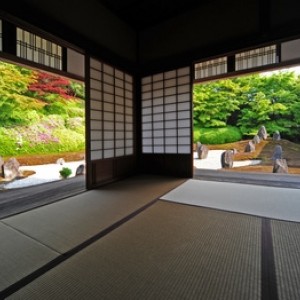 Tatami Tatami